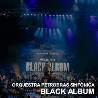 Allianz Parque Hall Black Album-min